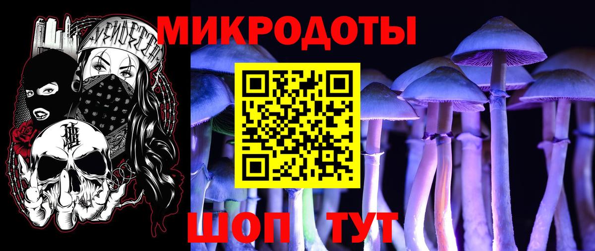 Псилоцибиновые грибы Cubensis Кириши
