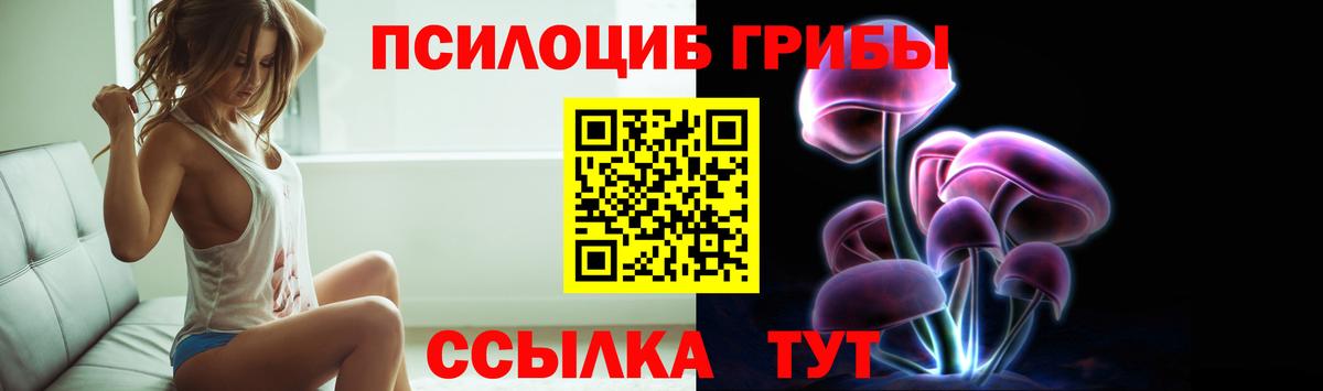 Псилоцибиновые грибы Psilocybe  Вход с VPN  Кириши 